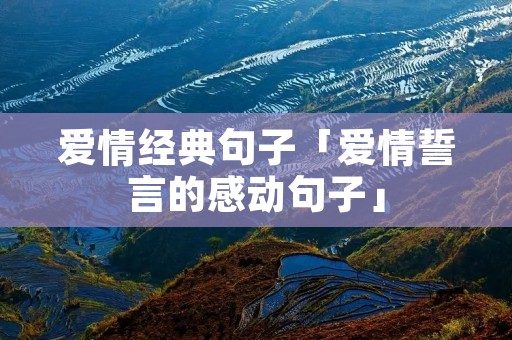 爱情经典句子「爱情誓言的感动句子」