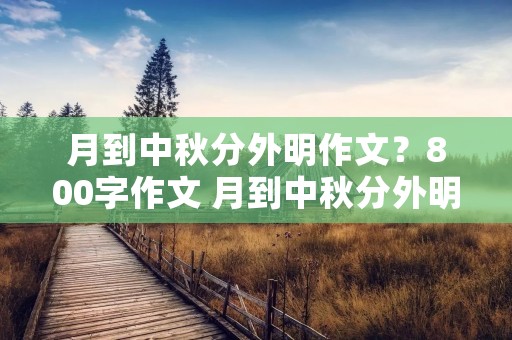 月到中秋分外明作文?800字作文 月到中秋分外明