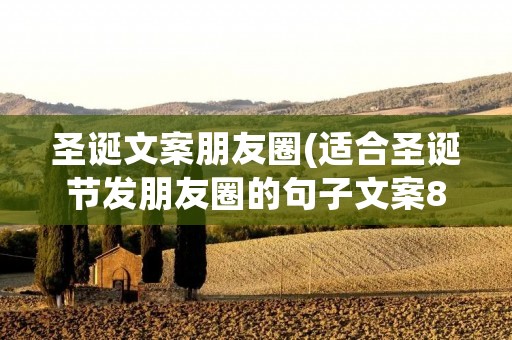 圣诞文案朋友圈(适合圣诞节发朋友圈的句子文案80句)