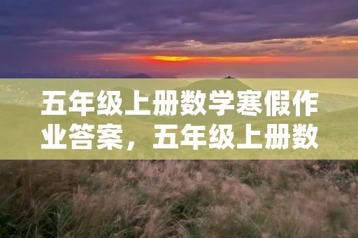 五年级上册数学寒假作业答案,五年级上册数学寒假作业答案参考