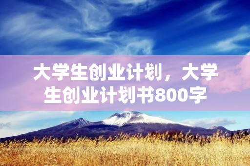 大学生创业计划,大学生创业计划书800字