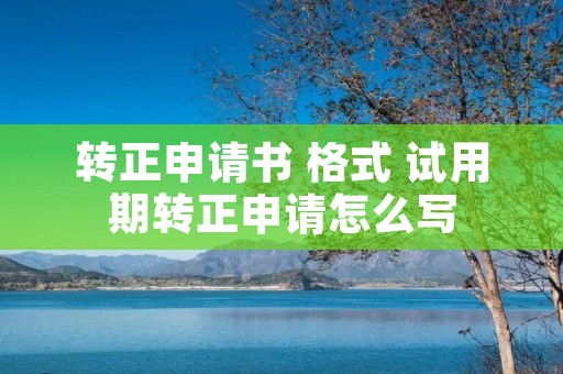 转正申请书 格式 试用期转正申请怎么写