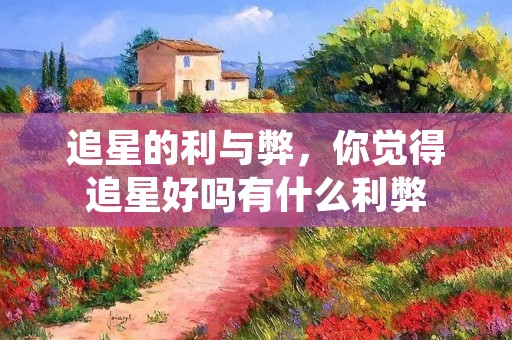 追星的利与弊,你觉得追星好吗有什么利弊