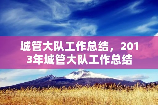 城管大队工作总结,2013年城管大队工作总结 城管大队工作总结,2013年城管大队工作总结