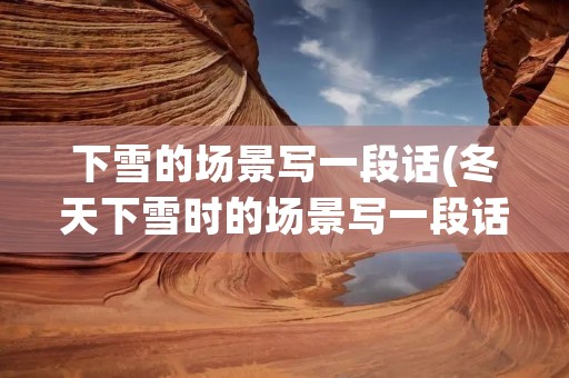 下雪的场景写一段话(冬天下雪时的场景写一段话50字)
