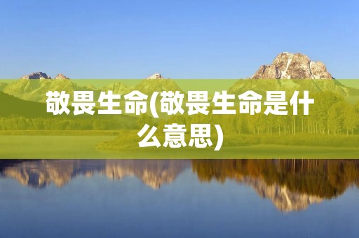 敬畏生命(敬畏生命是什么意思)