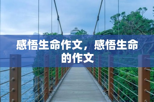 感悟生命作文,感悟生命的作文