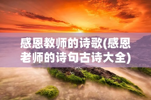 感恩教师的诗歌(感恩老师的诗句古诗大全)
