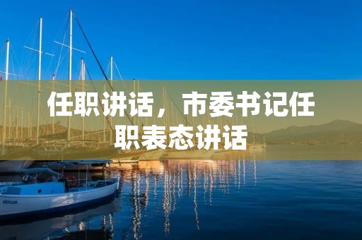 任职讲话,市委书记任职表态讲话