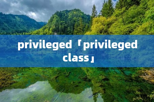 privileged「privileged class」 privileged「privileged class」