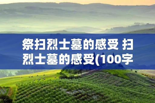 祭扫烈士墓的感受 扫烈士墓的感受(100字)