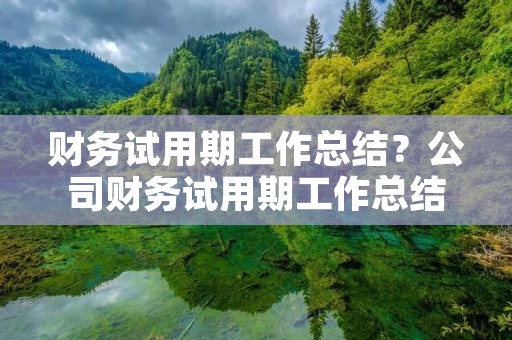 财务试用期工作总结?公司财务试用期工作总结