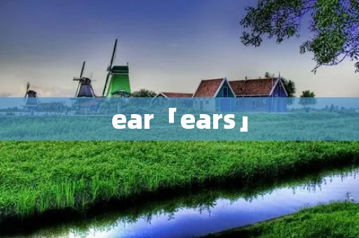 ear「ears」 ear「ears」