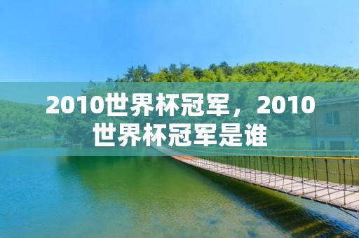 2010世界杯冠军，2010世界杯冠军是谁