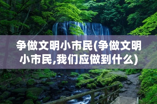 争做文明小市民(争做文明小市民,我们应做到什么) 争做文明小市民(争做文明小市民,我们应做到什么)