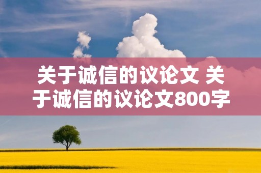 关于诚信的议论文 关于诚信的议论文800字左右