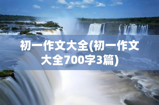 初一作文大全(初一作文大全700字3篇)