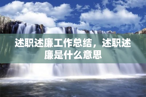 述职述廉工作总结，述职述廉是什么意思
