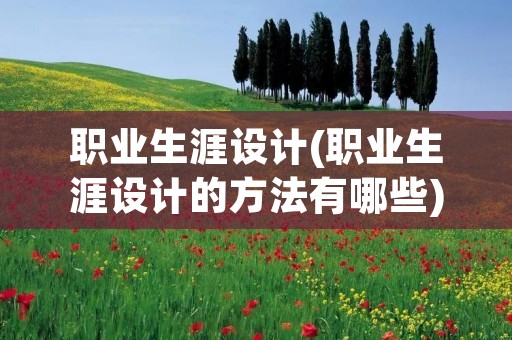 职业生涯设计(职业生涯设计的方法有哪些)