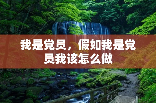我是党员,假如我是党员我该怎么做