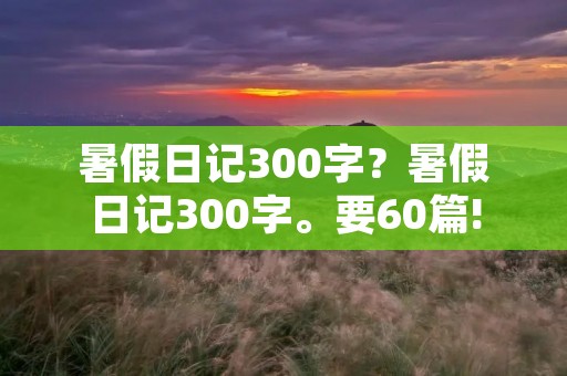 暑假日记300字?暑假日记300字。要60篇!