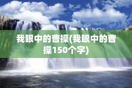 我眼中的曹操(我眼中的曹操150个字)