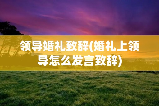 领导婚礼致辞(婚礼上领导怎么发言致辞)