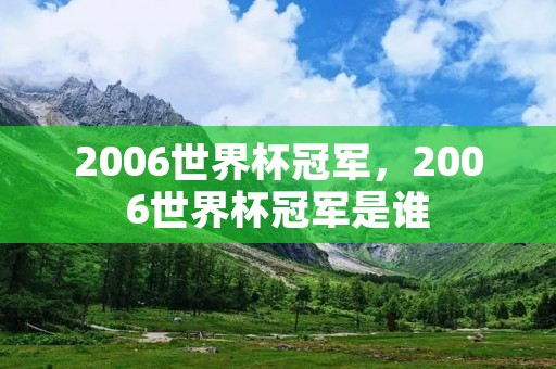 2006世界杯冠军,2006世界杯冠军是谁