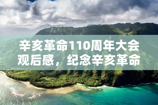 辛亥革命110周年大会观后感,纪念辛亥革命110周年大会举行,你对此有何哪些感悟 辛亥革命110周年大会观后感,纪念辛亥革命110周年大会举行,你对此有何哪些感悟