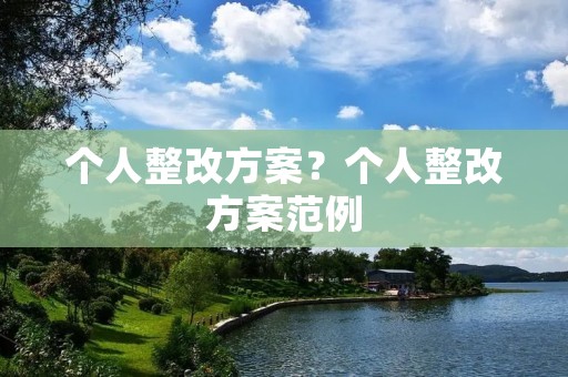 个人整改方案？个人整改方案范例