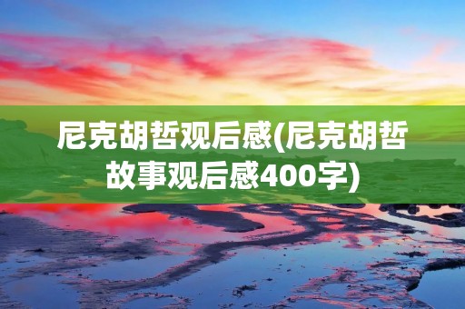 尼克胡哲观后感(尼克胡哲故事观后感400字)