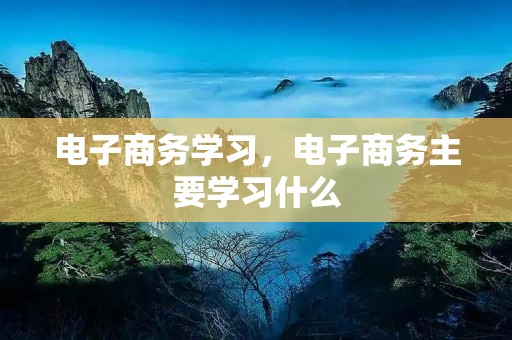 电子商务学习,电子商务主要学习什么