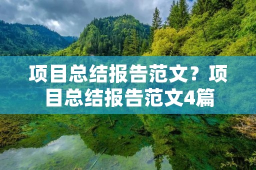 项目总结报告范文？项目总结报告范文4篇