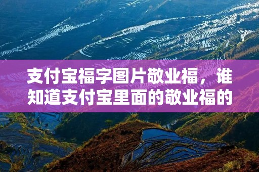 支付宝福字图片敬业福,谁知道支付宝里面的敬业福的福字是什么字体