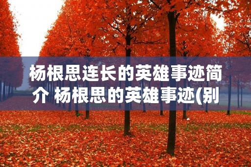 杨根思连长的英雄事迹简介 杨根思的英雄事迹(别太多啊,50字左右啊)