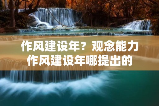 作风建设年？观念能力作风建设年哪提出的