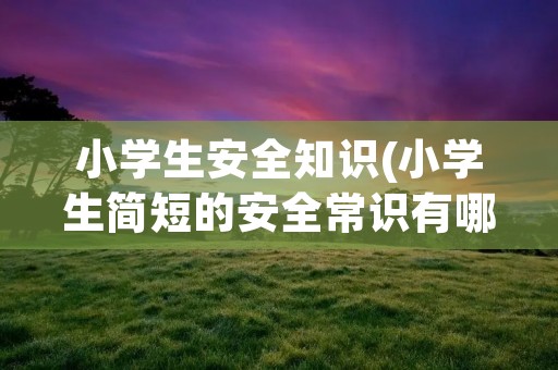 小学生安全知识(小学生简短的安全常识有哪些)