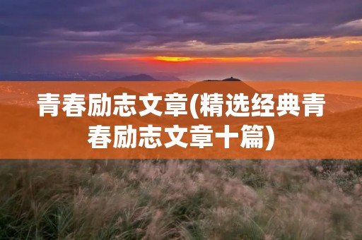 青春励志文章(精选经典青春励志文章十篇)