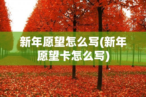 新年愿望怎么写(新年愿望卡怎么写) 新年愿望怎么写(新年愿望卡怎么写)