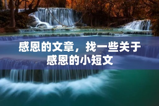 感恩的文章，找一些关于感恩的小短文