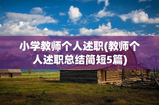 小学教师个人述职(教师个人述职总结简短5篇)
