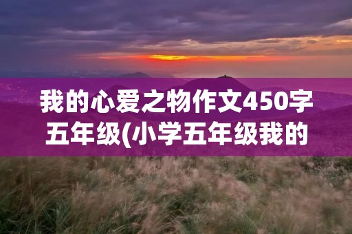 我的心爱之物作文450字五年级(小学五年级我的心爱之物作文450字【六篇】)