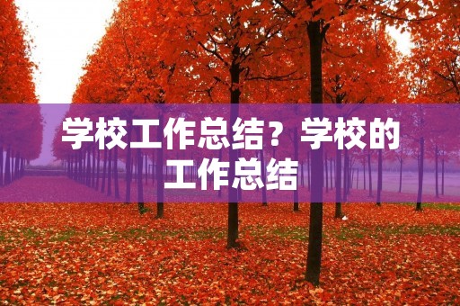 学校工作总结？学校的工作总结
