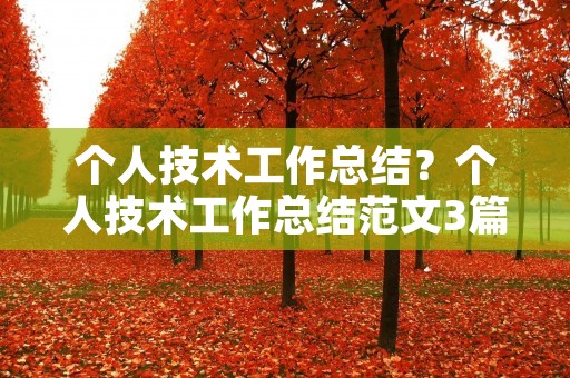 个人技术工作总结?个人技术工作总结范文3篇