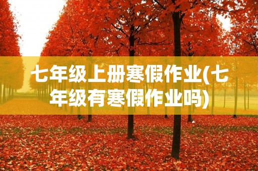 七年级上册寒假作业(七年级有寒假作业吗)