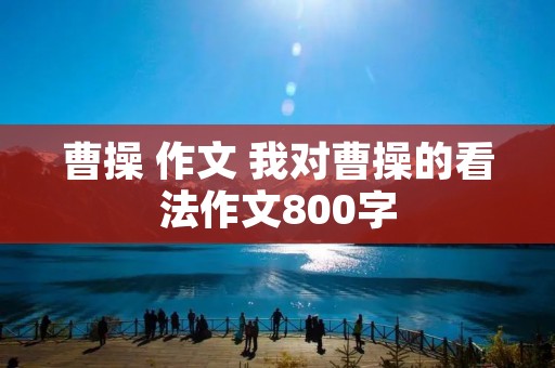曹操 作文 我对曹操的看法作文800字