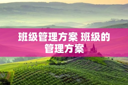 班级管理方案 班级的管理方案