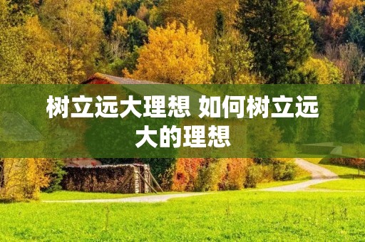 树立远大理想 如何树立远大的理想