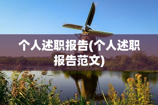 个人述职报告(个人述职报告范文)