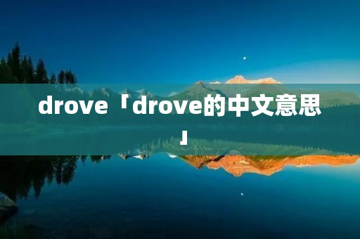 drove「drove的中文意思」
